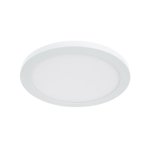 Flush Mount Ceiling Lights