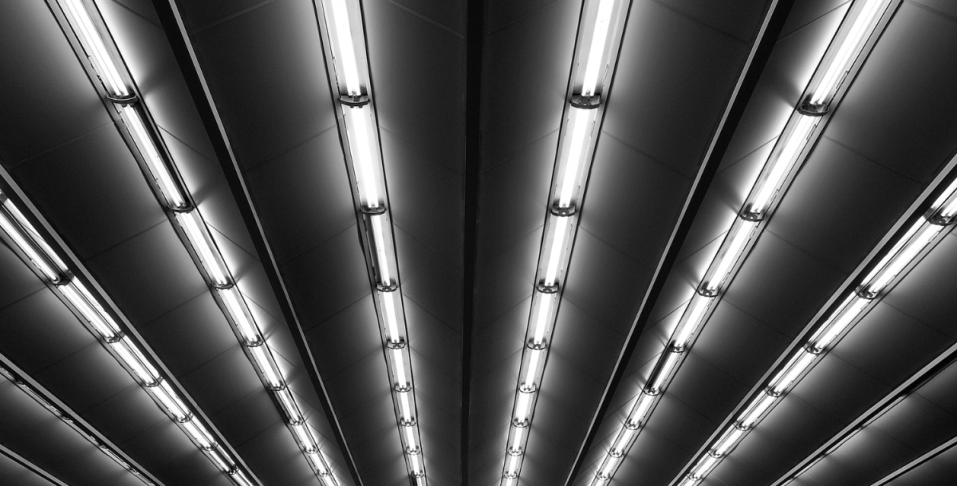 Multiple lines of tube lights installed on the ceiling