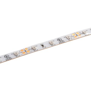 5m Single Color LED Strip Light - Eco™ Series Tape Light - 12V/24V - IP54 Weatherproof