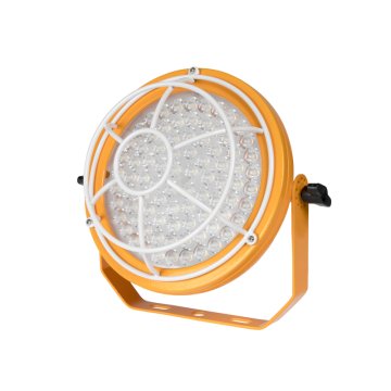 60W LED Dock Light Head - Steel Wire Guard - 7,500 Lumens - 5000K