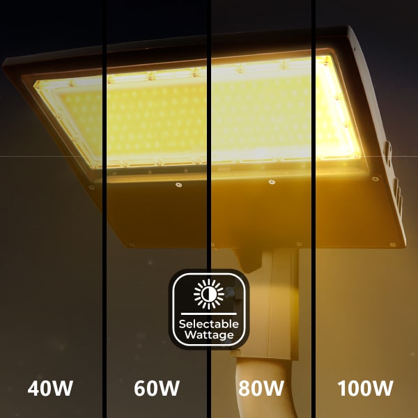Selectable Wattage
