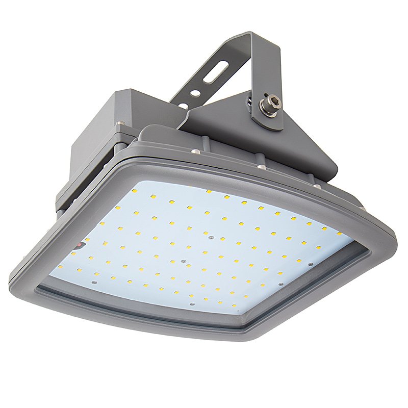 Hazardous location flood light