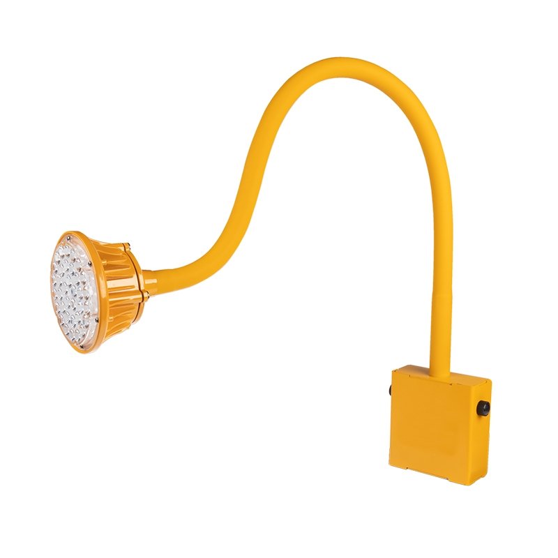 Flexible gooseneck dock light